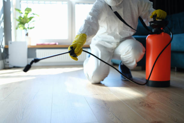 Reliable Odor Removal contractor in Clarksville, VA by Trauma Clean Pros